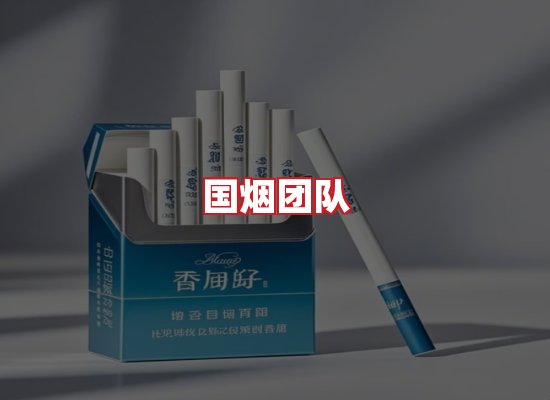 国烟团队
